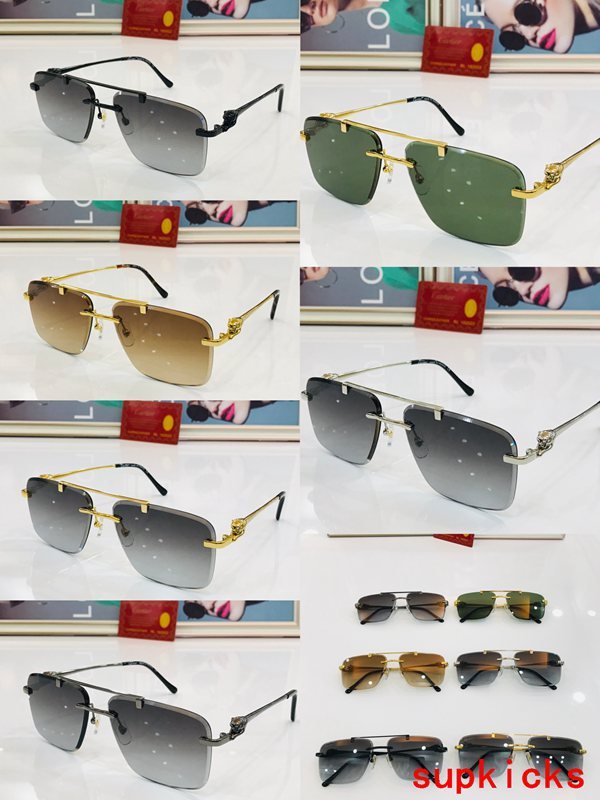 Lifestyle view of Cartier unisex sunglasses