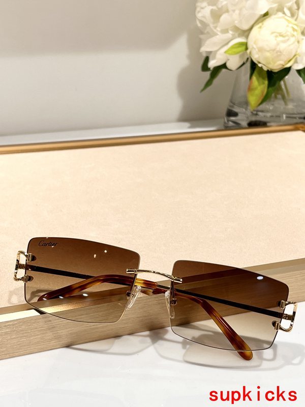 Close-up detail view of Cartier unisex sunglasses