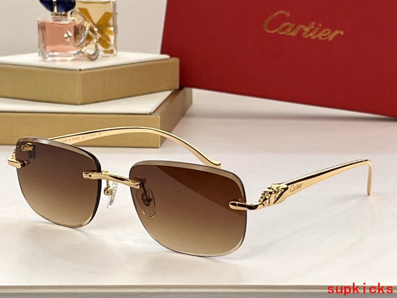 Front view of Cartier unisex sunglasses