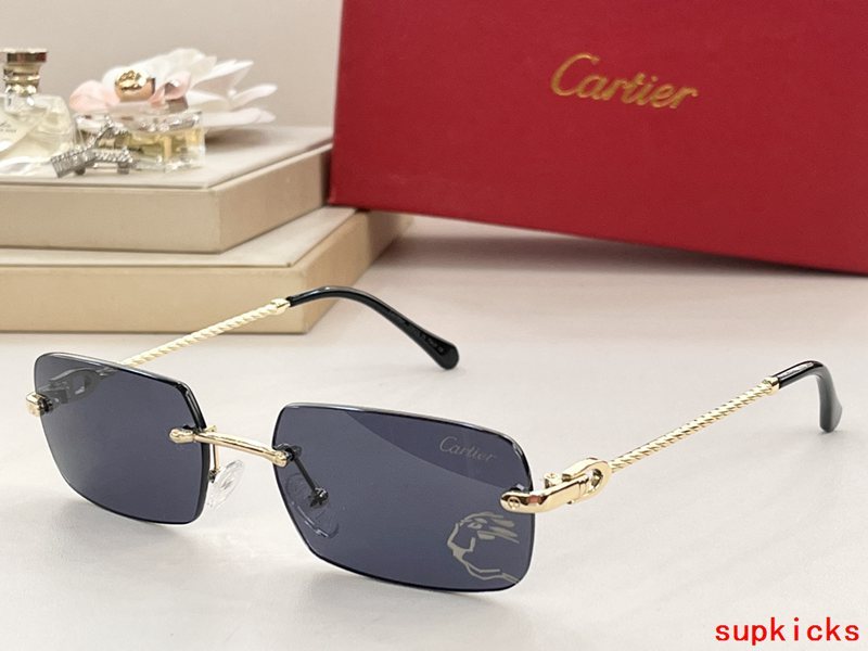 Front view of Cartier unisex sunglasses