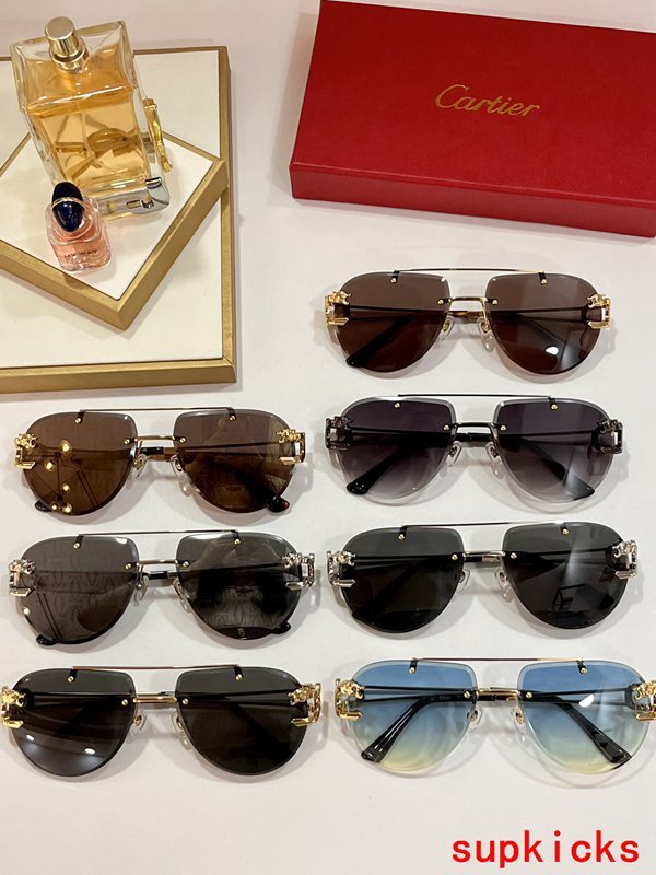 Lifestyle view of Cartier unisex sunglasses