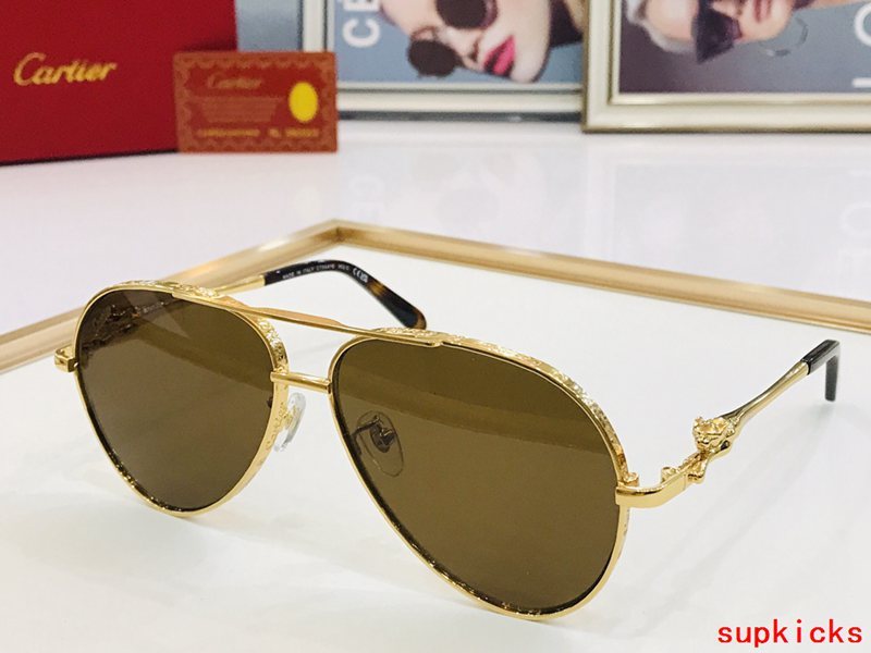 Close-up detail view of Cartier unisex sunglasses