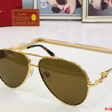 Close-up detail view of Cartier unisex sunglasses