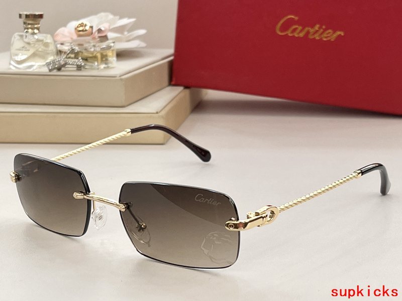 Side view of Cartier unisex sunglasses
