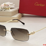 Side view of Cartier unisex sunglasses