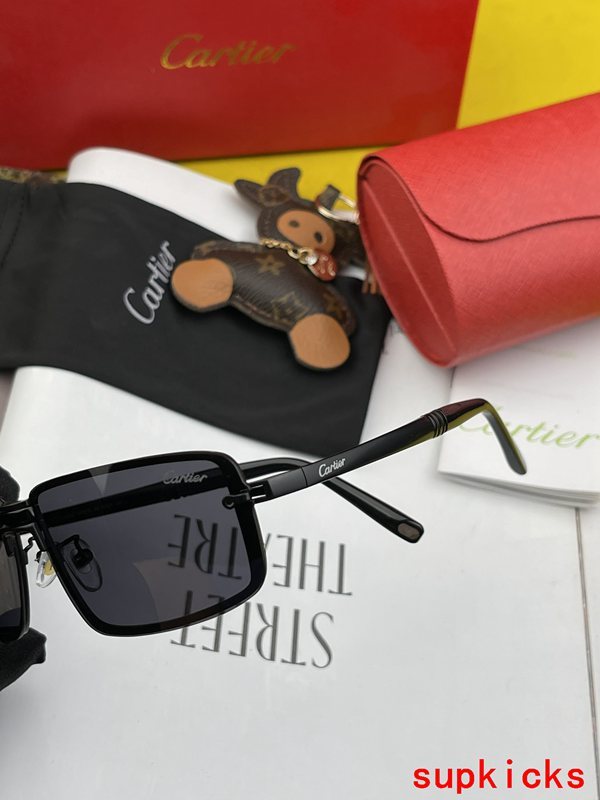 Side view of Cartier unisex sunglasses