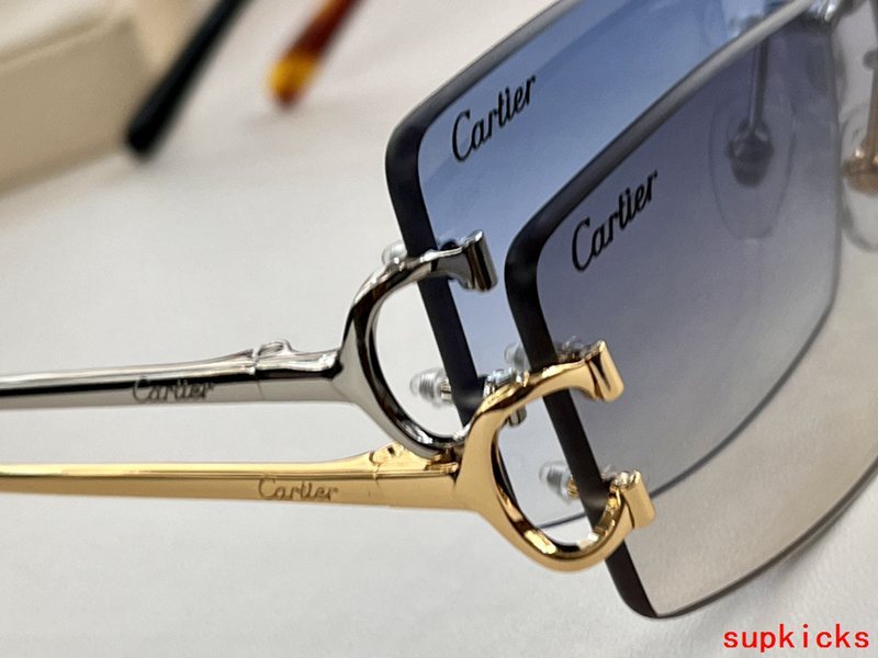 Close-up detail view of Cartier unisex sunglasses