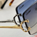 Close-up detail view of Cartier unisex sunglasses