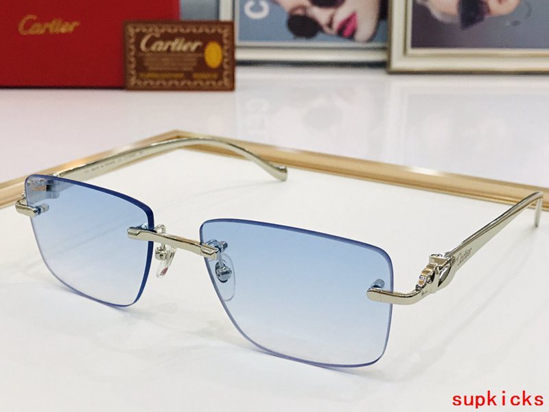 Front view of Cartier unisex sunglasses