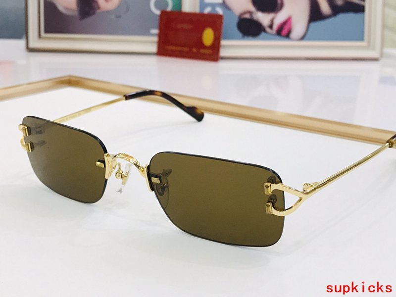 Close-up detail view of Cartier unisex sunglasses