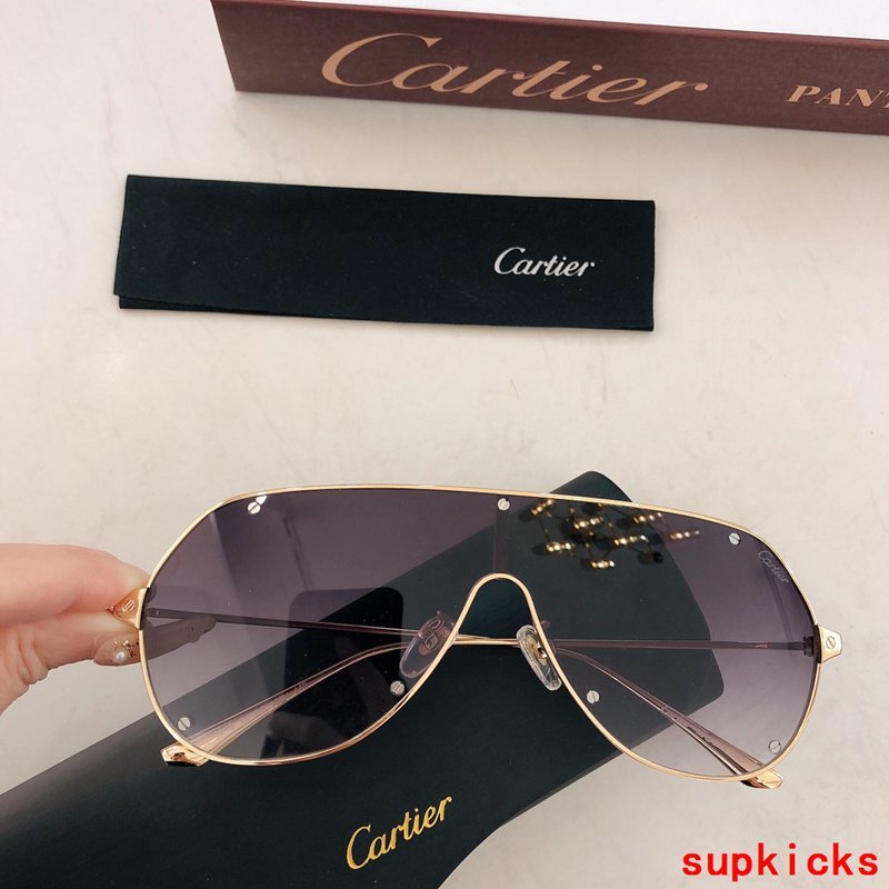 Full view of Cartier unisex sunglasses