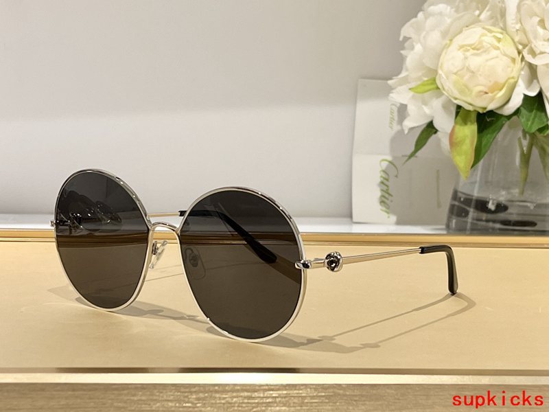 Side view of Cartier unisex sunglasses