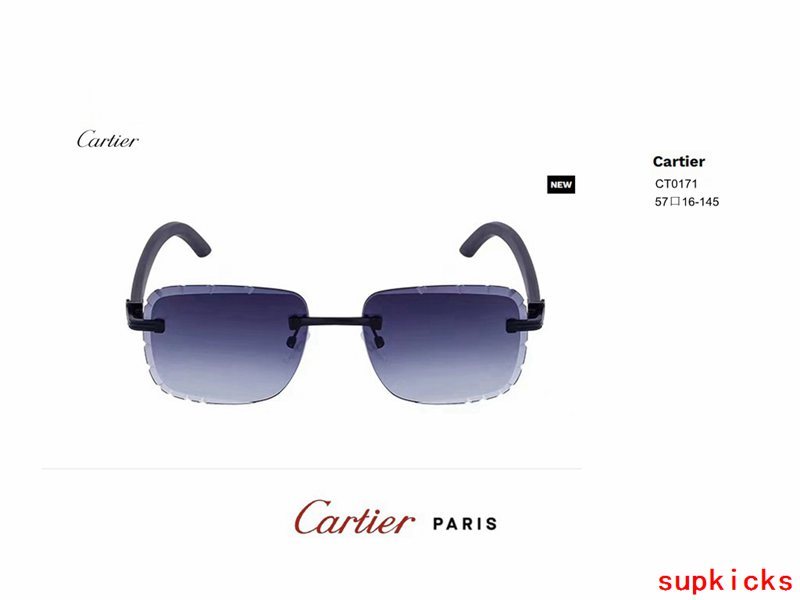 Front view of Cartier unisex sunglasses