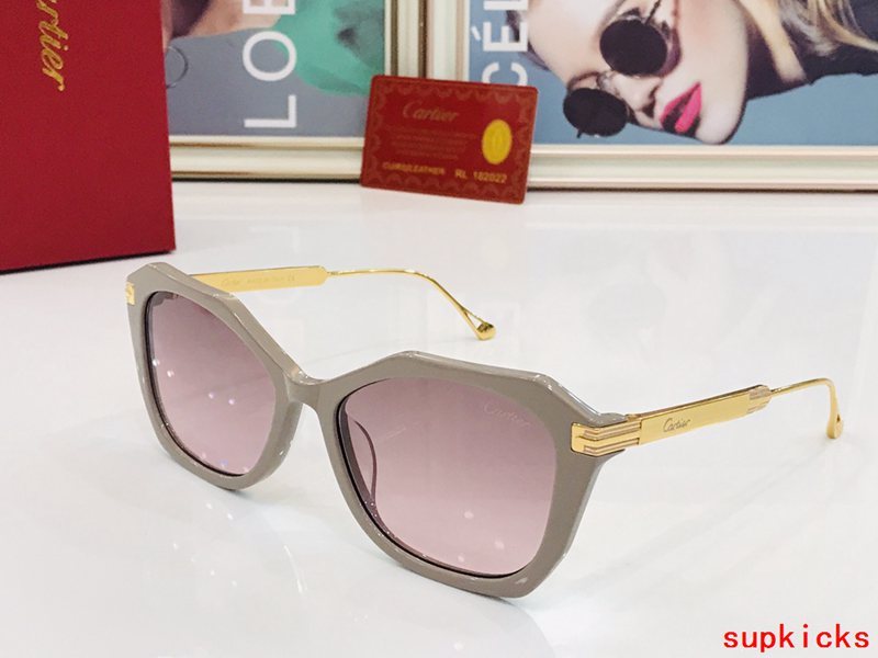 Front view of Cartier unisex sunglasses
