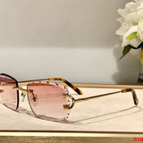 Close-up detail view of Cartier unisex sunglasses