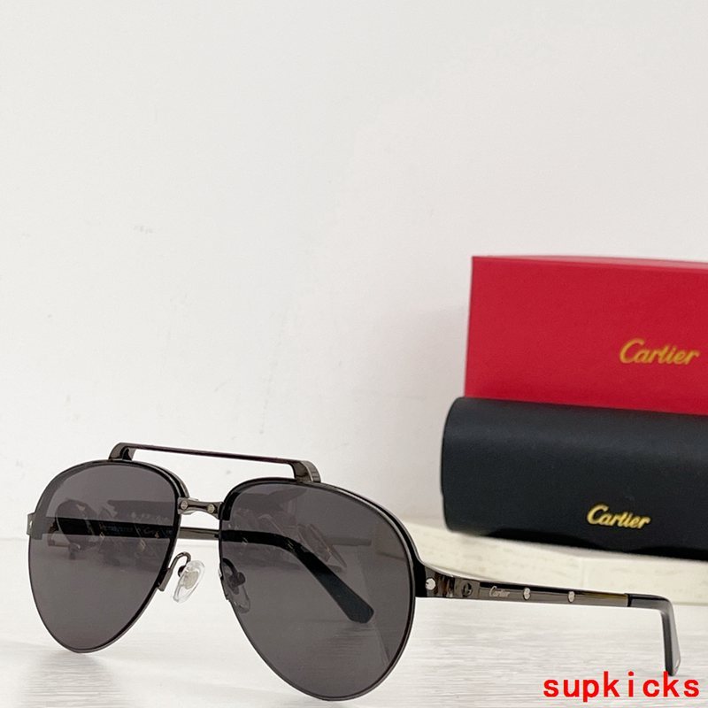 Side view of Cartier unisex sunglasses