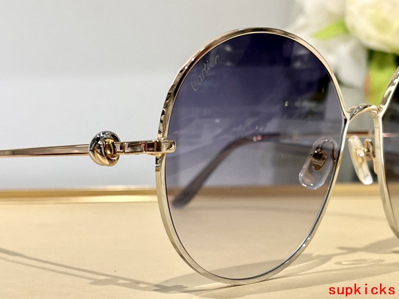 Side view of Cartier unisex sunglasses