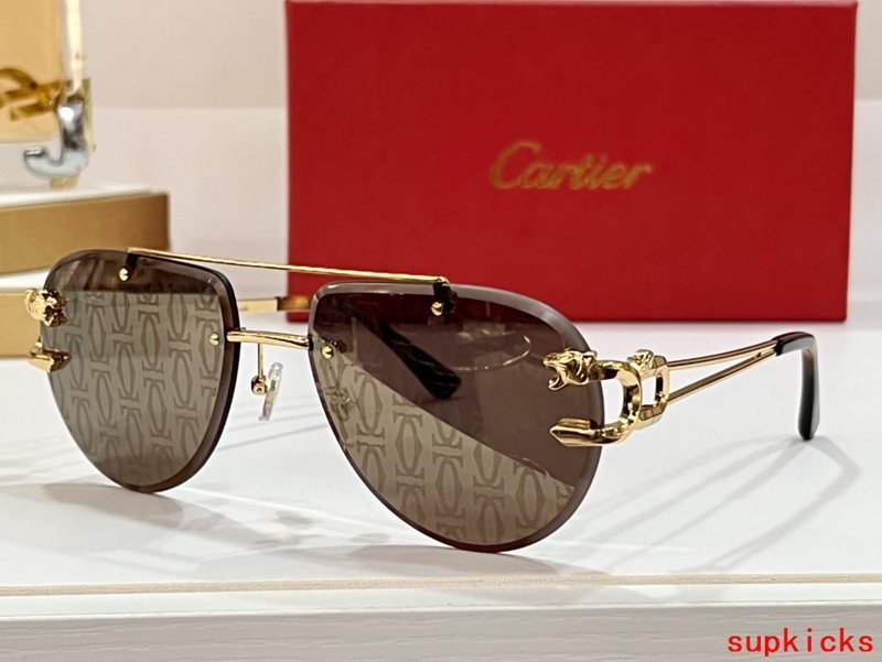 Side view of Cartier unisex sunglasses