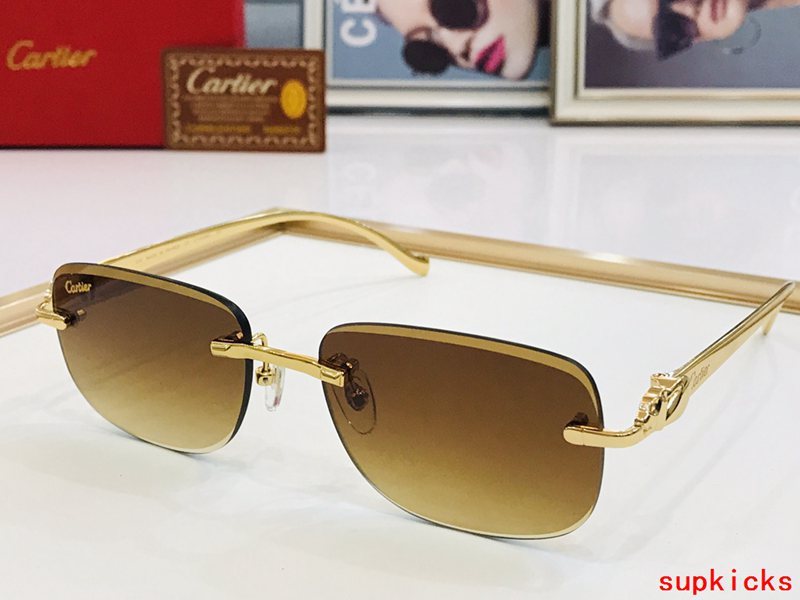 Close-up detail view of Cartier unisex sunglasses