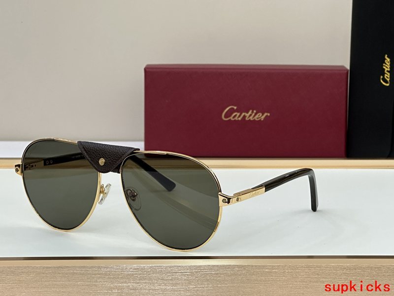 Side view of Cartier unisex sunglasses