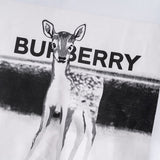Burberry clothing angled view — premium authentic designer style