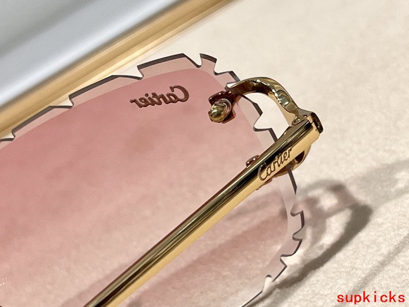 Front view of Cartier unisex sunglasses
