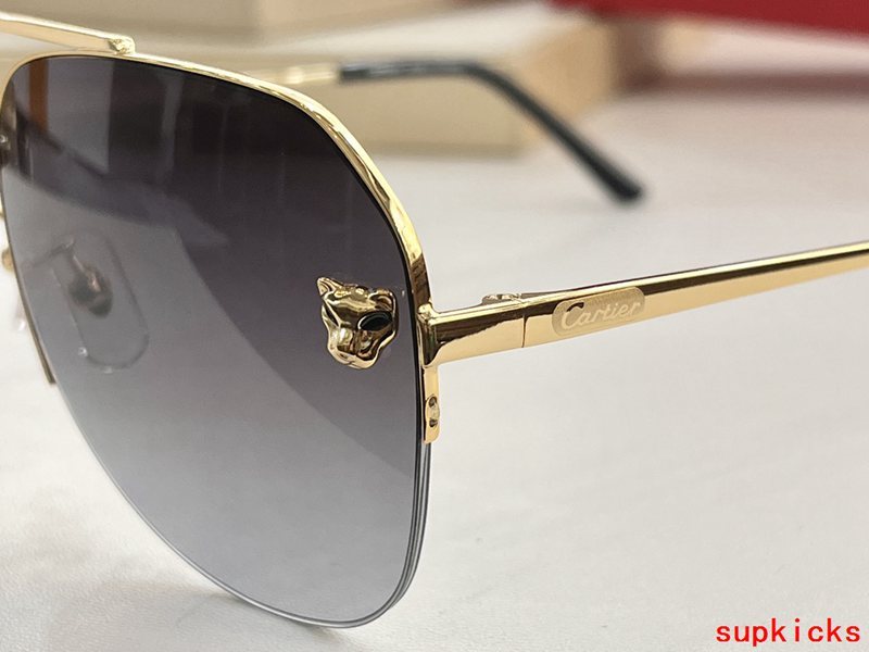 Side view of Cartier unisex sunglasses
