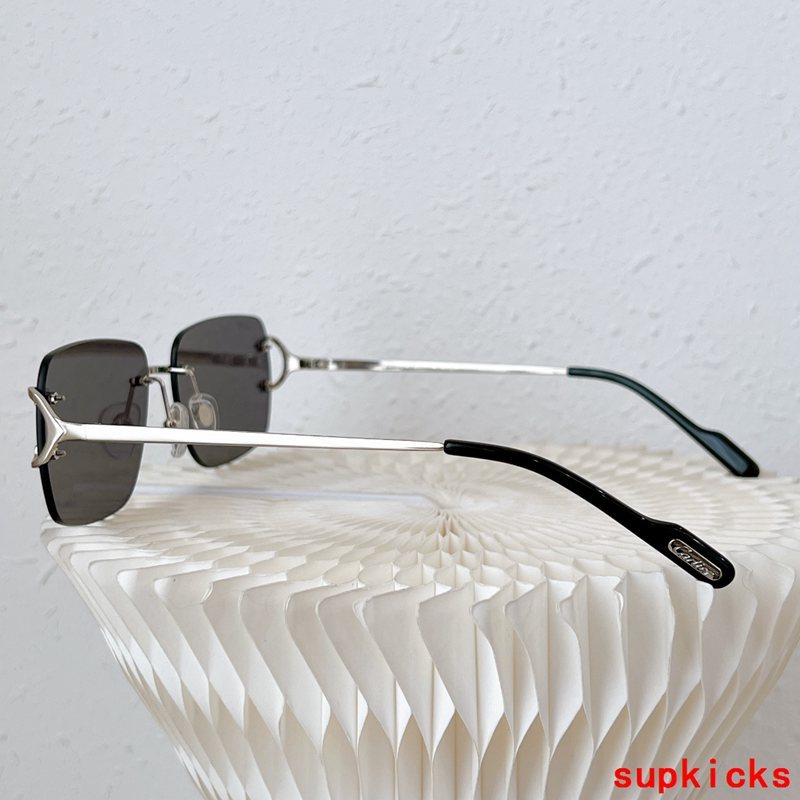 Side view of Cartier unisex sunglasses
