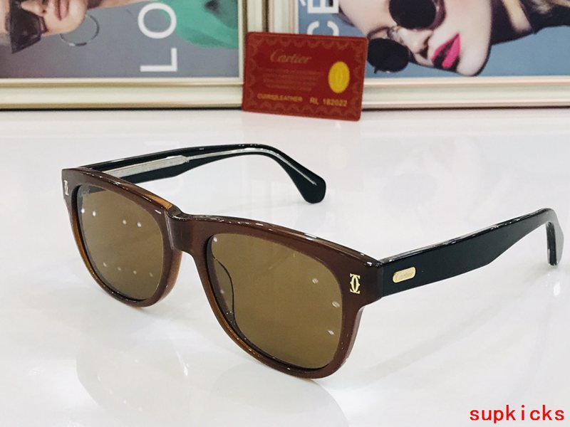 Full view of Cartier unisex sunglasses