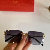 Close-up detail view of Cartier unisex sunglasses