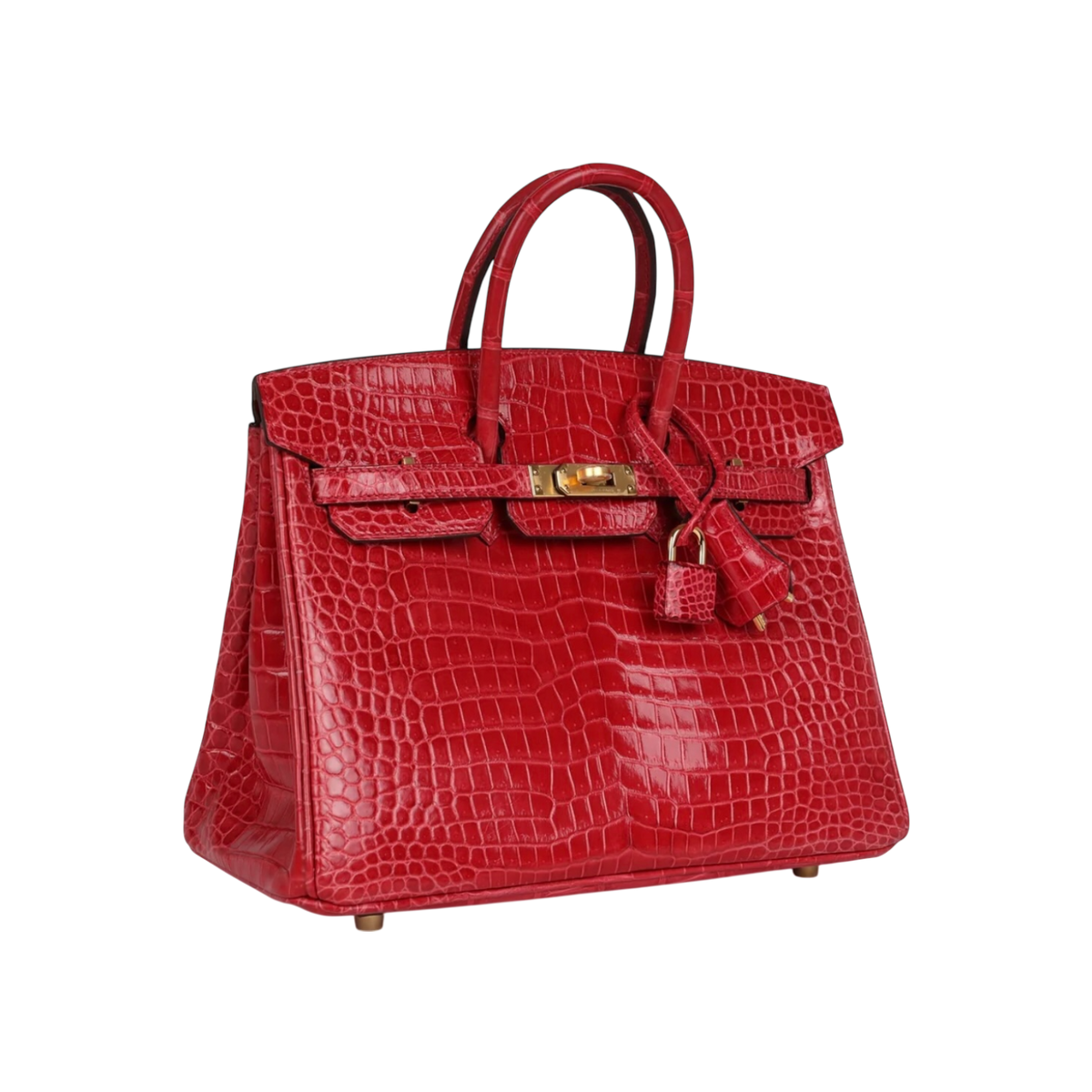 HermÃ¨s Birkin 25 Braise Porosus Crocodile Gold Hardware