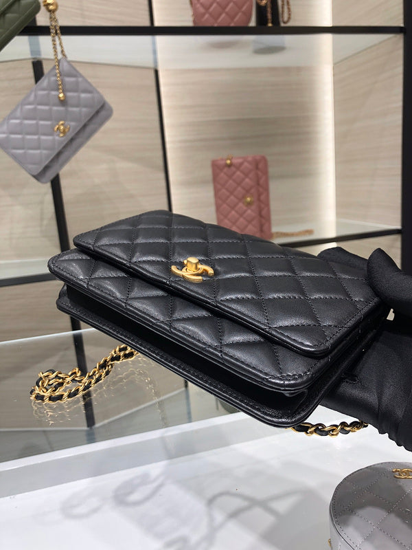 Zivas Charm Polished Finish Designer Handbag (Everyday Luxury Essential) – Full Silhouette