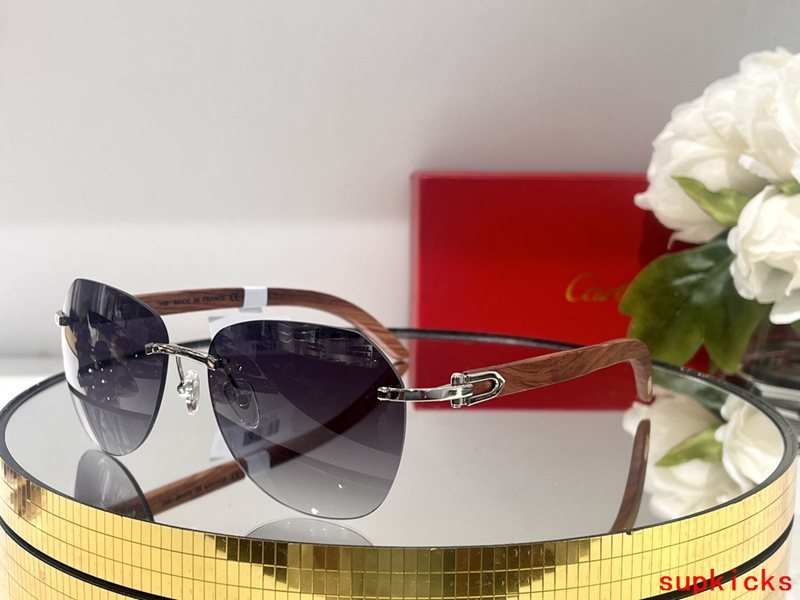 Front view of Cartier unisex sunglasses