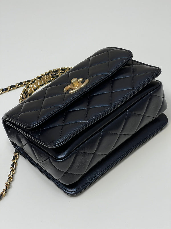  versatile purse view 6