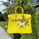 Interior view of fluid premium bag