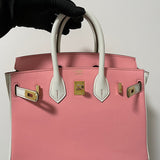 Interior view of considered premium bag