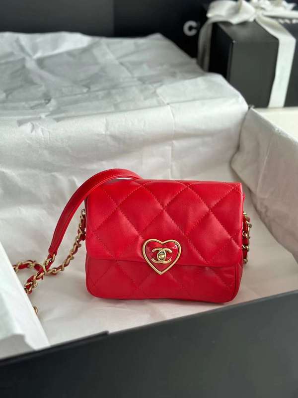 Zivas Charm Polished Finish Luxury Handbag (Thoughtfully Structured Design) – Detail View