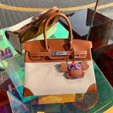 Interior view of elegant premium bag
