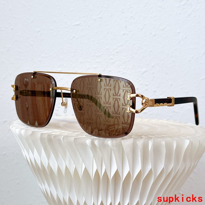 Side view of Cartier unisex sunglasses