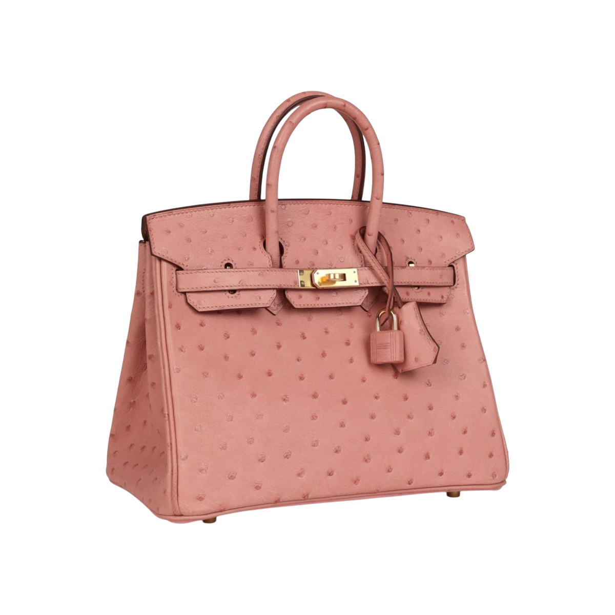 HermÃ¨s Birkin 25 Terre Cuite Ostrich Gold Hardware