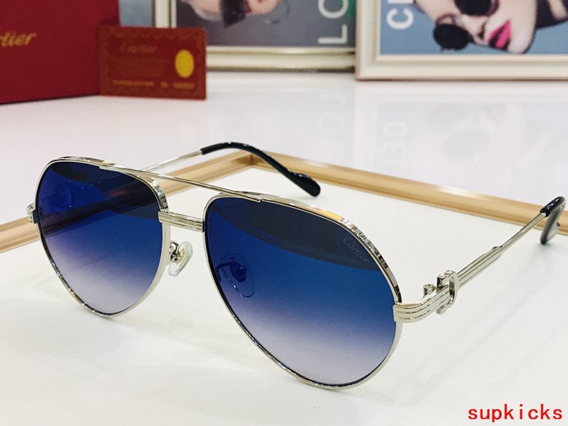 Side view of Cartier unisex sunglasses