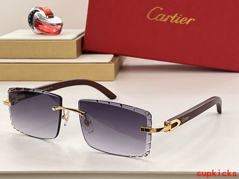 Close-up detail view of Cartier unisex sunglasses