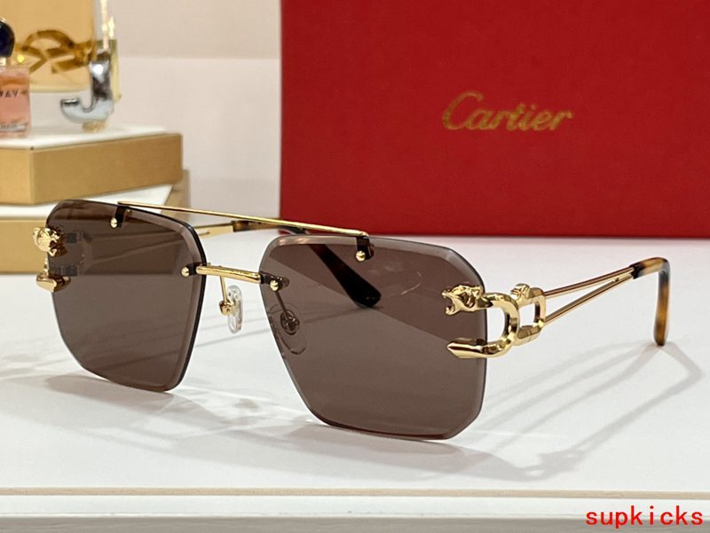 Front view of Cartier unisex sunglasses