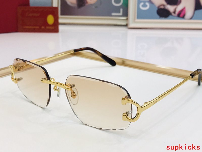 Full view of Cartier unisex sunglasses