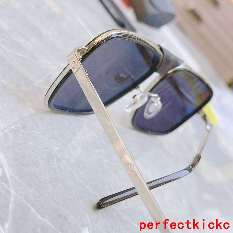 Side view of Cartier unisex sunglasses