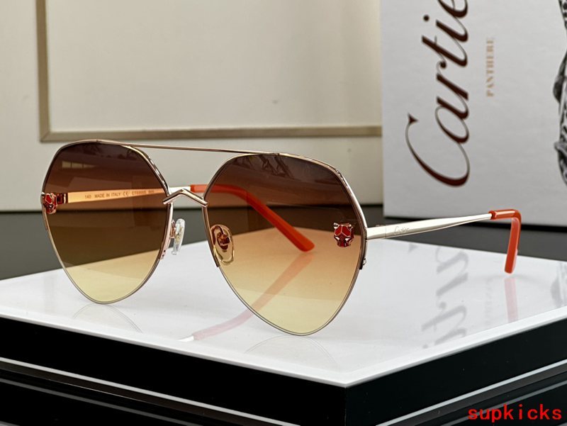 Close-up detail view of Cartier unisex sunglasses