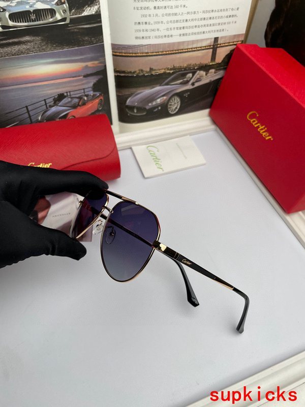 Lifestyle view of Cartier unisex sunglasses