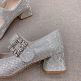 Roger Vivier luxury shoes detail shot