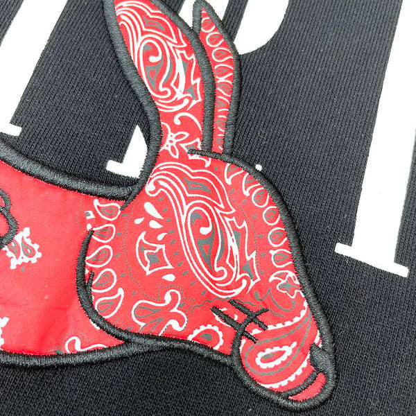 Amiri hoodie back view — premium authentic designer style