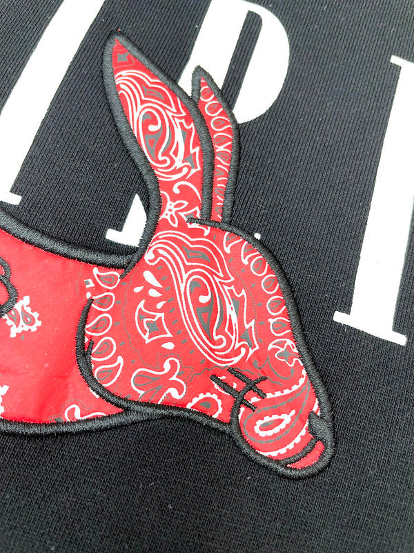 Amiri designer hoodie full view